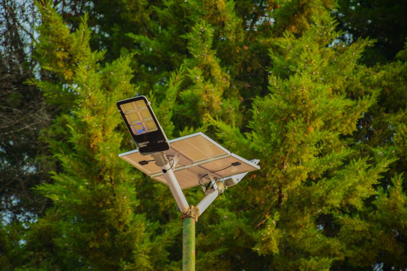 Solar street lights along a road in an African setting